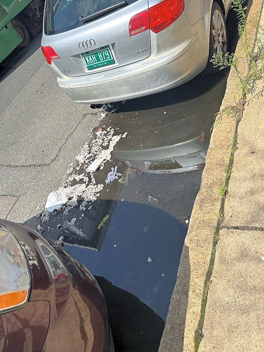 Image submitted with report