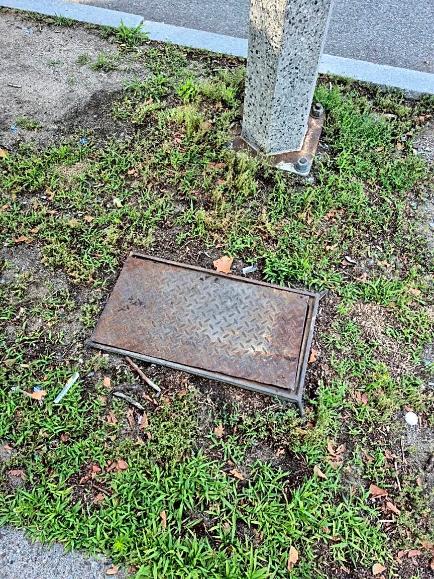 Image submitted with report