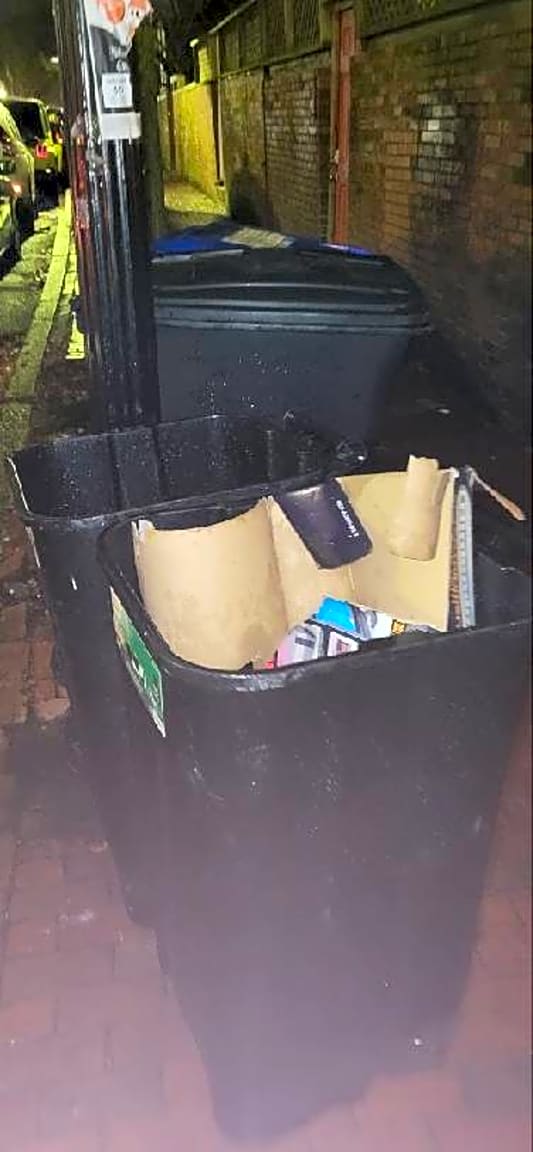 Image submitted with report