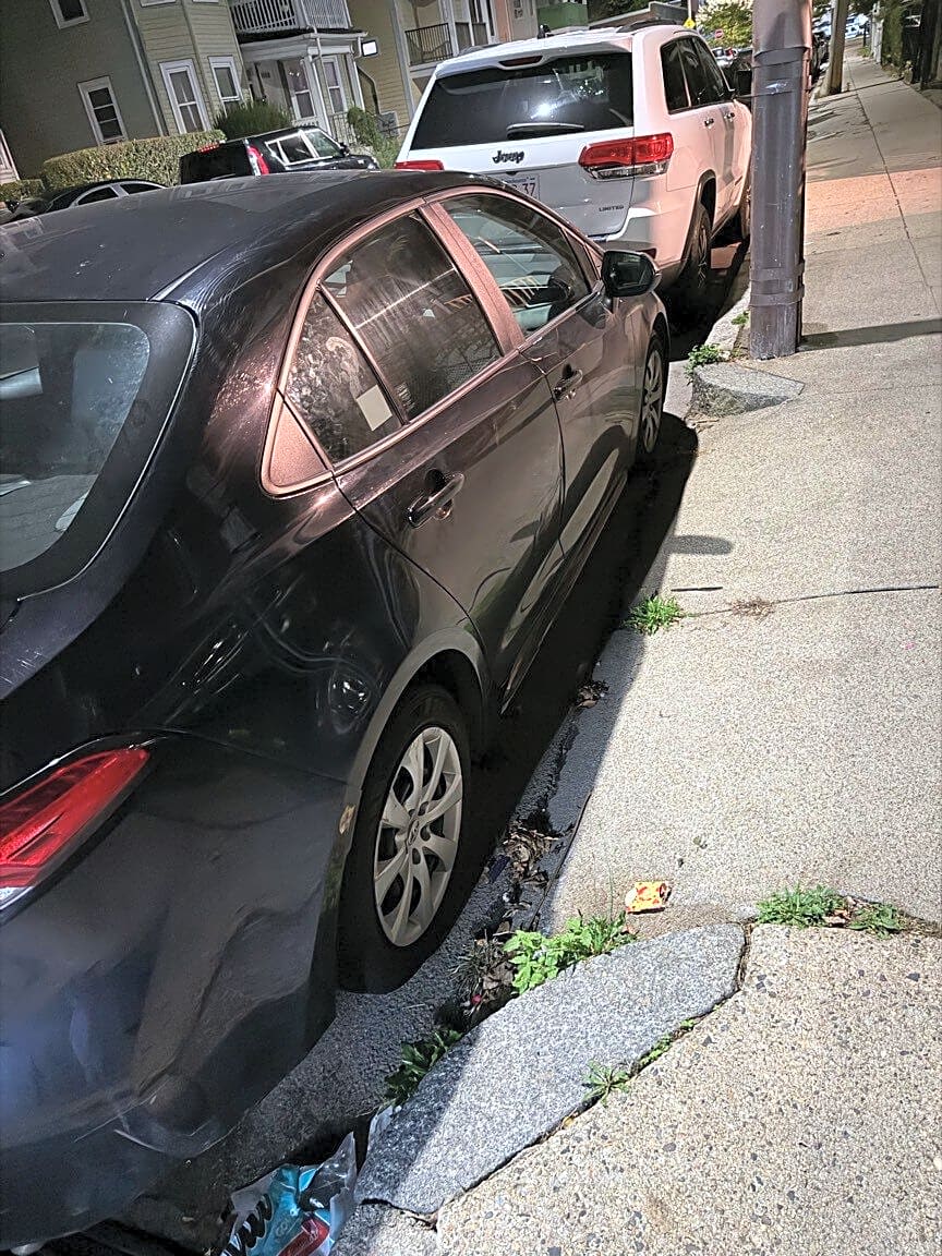 Image submitted with report