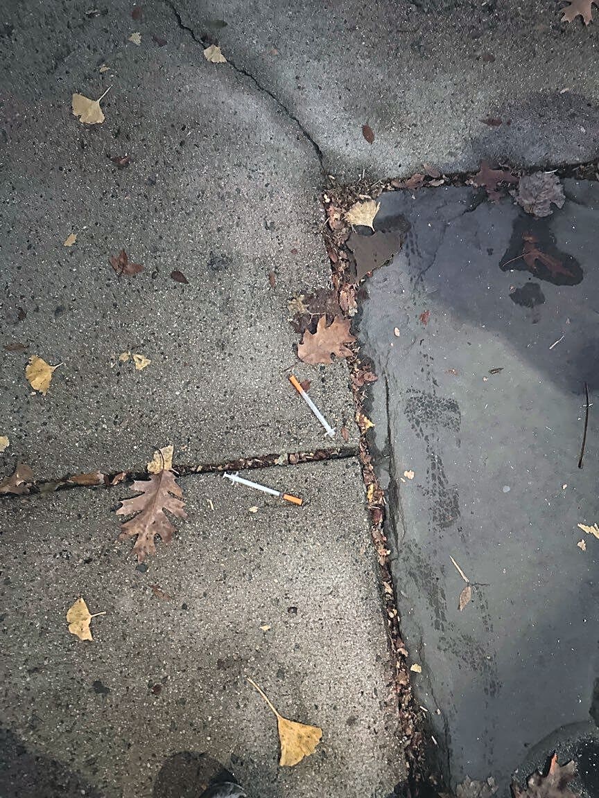 Image submitted with report