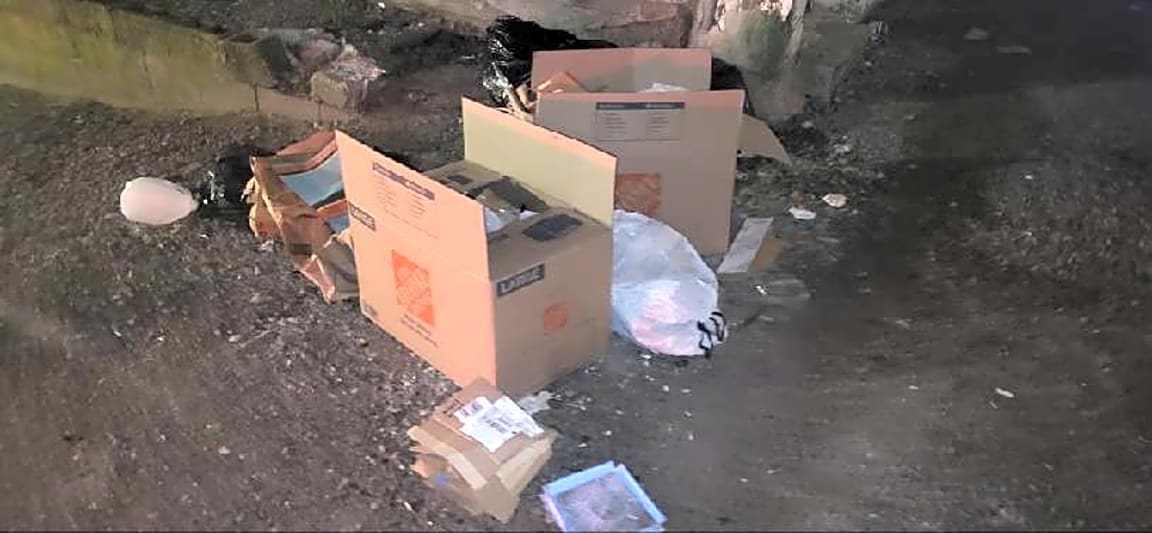 Image submitted with report