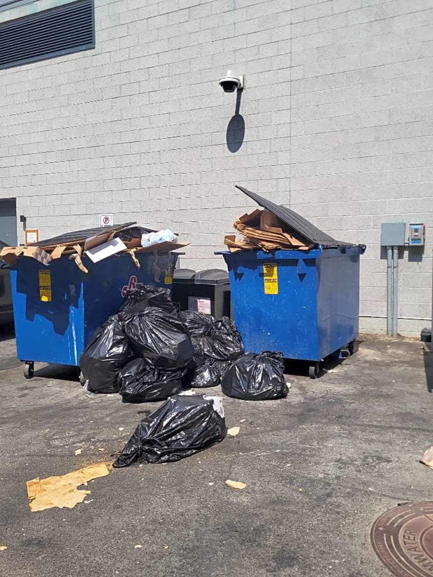 Image submitted with report