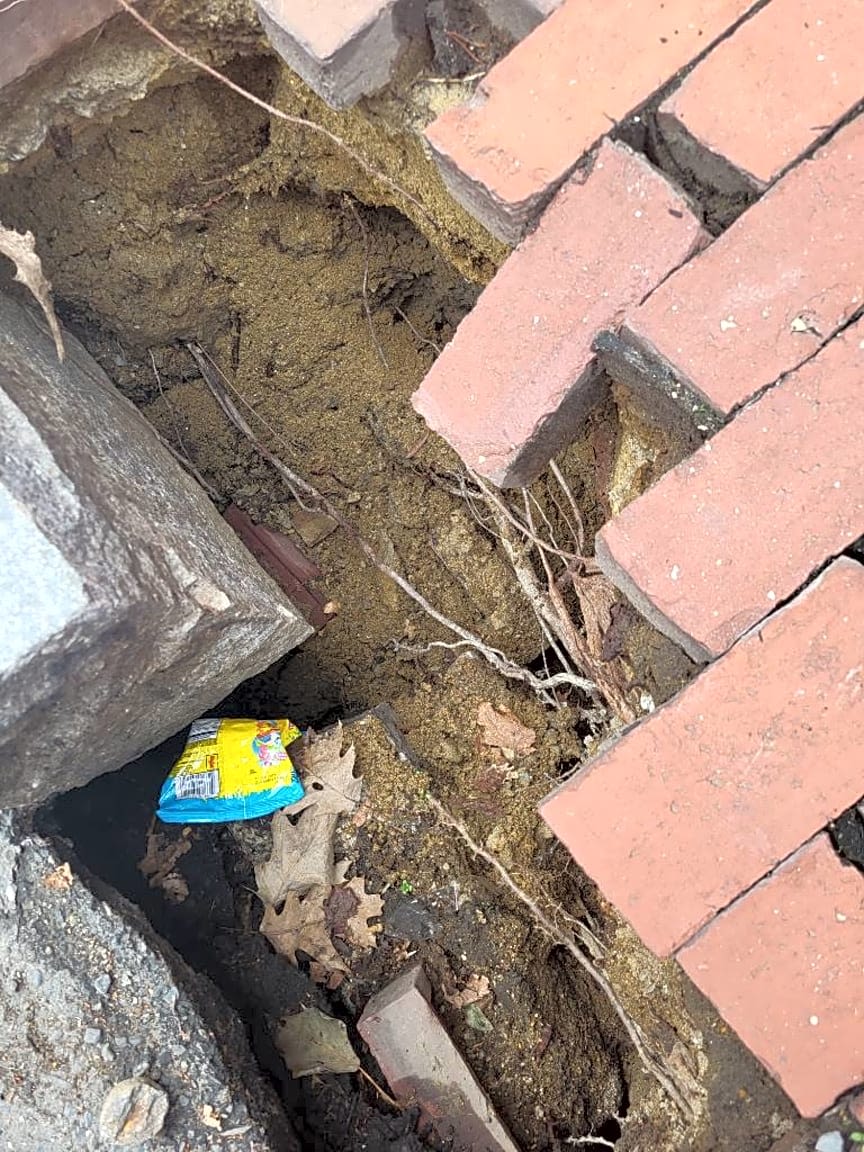 Image submitted with report