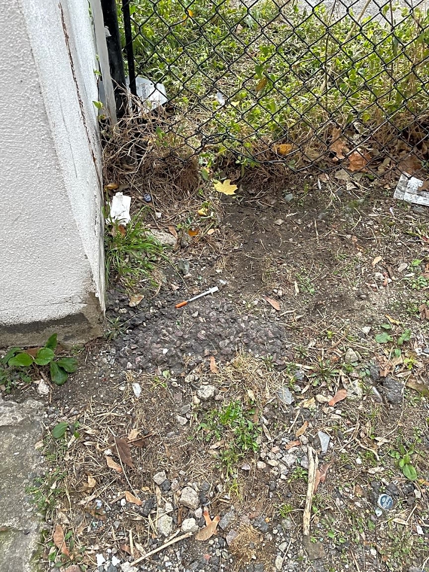 Image submitted with report
