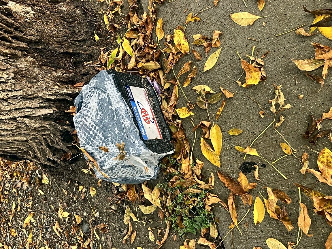 Image submitted with report