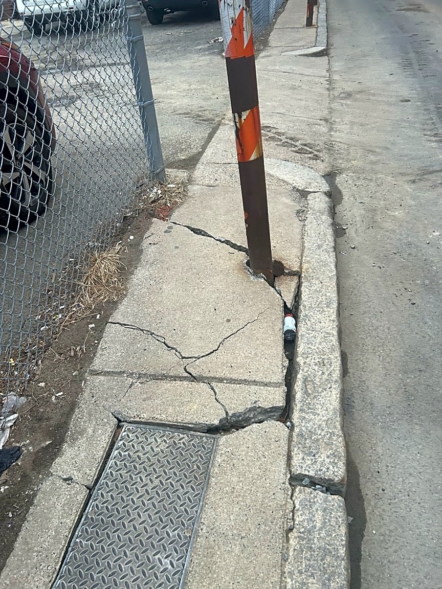 Image submitted with report
