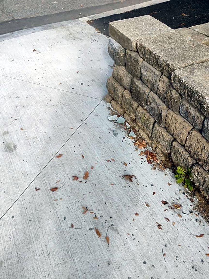 Image submitted with report