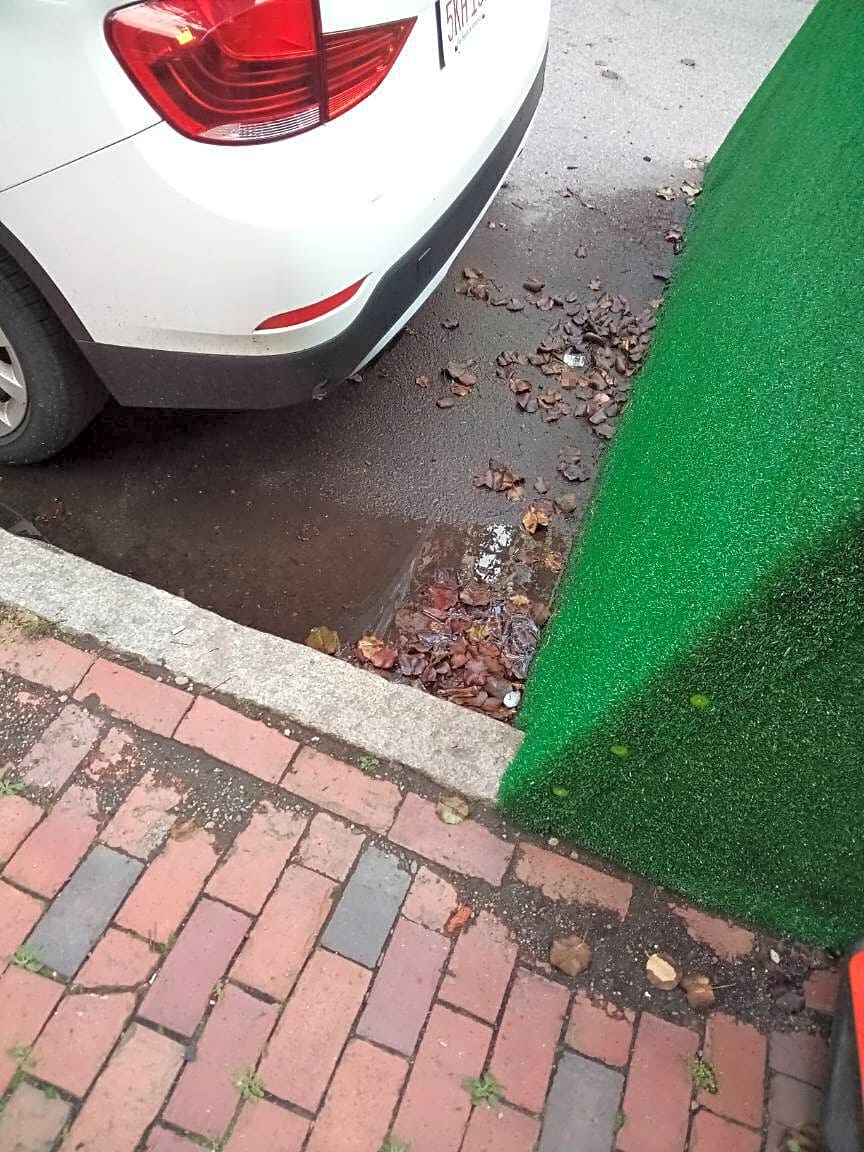 Image submitted with report
