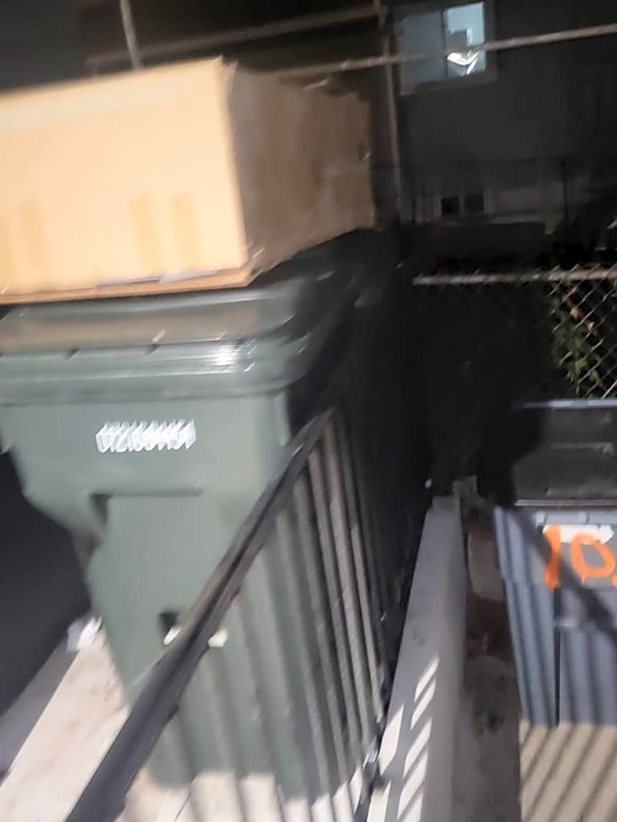 Image submitted with report