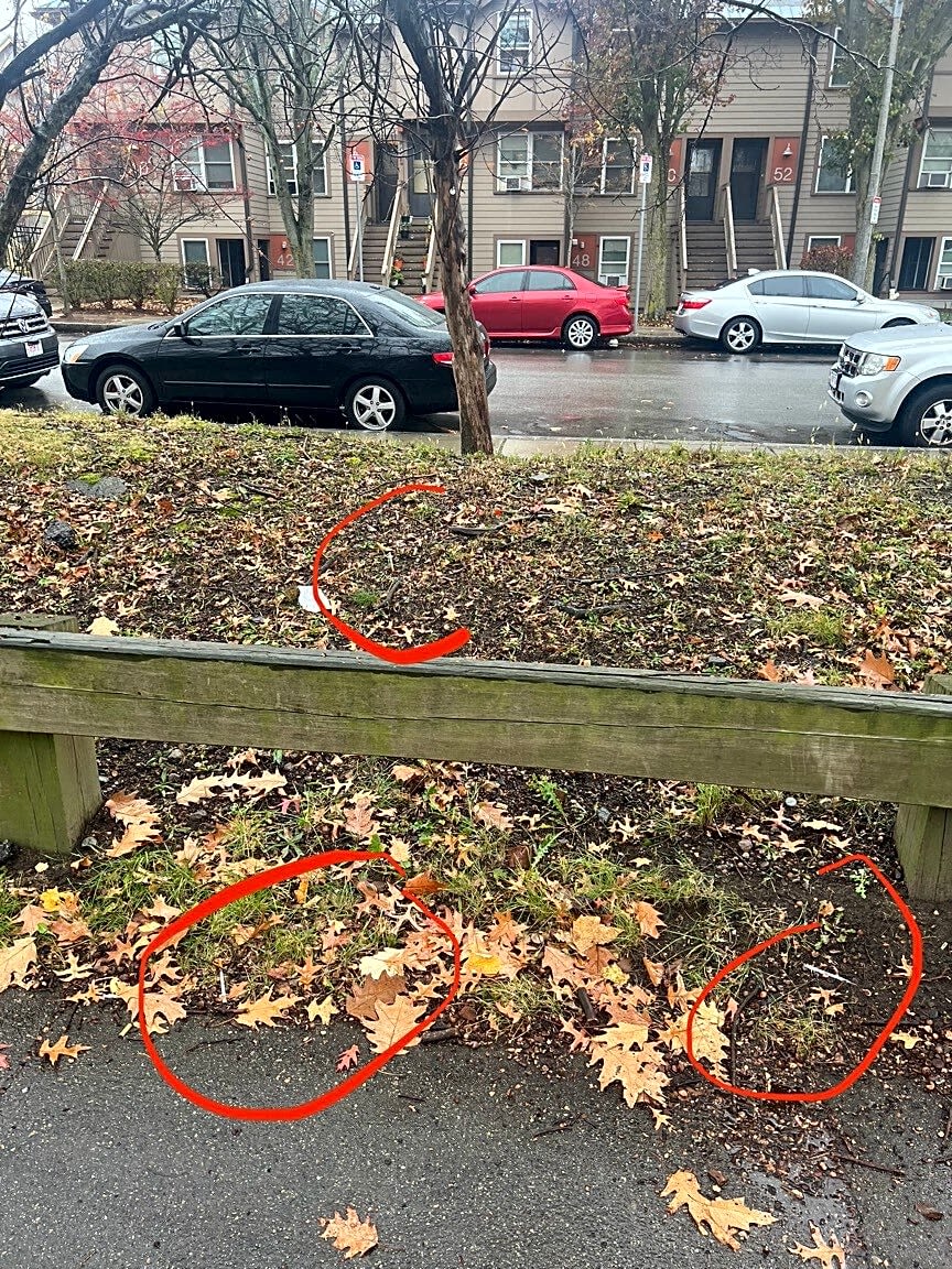 Image submitted with report