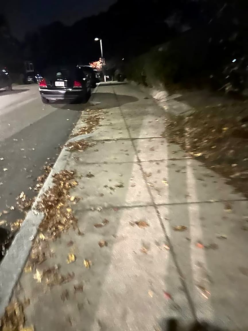 Image submitted with report