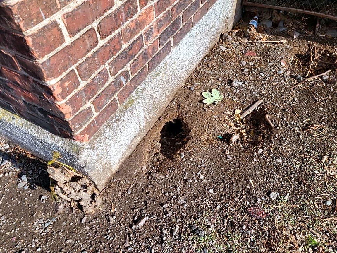 Image submitted with report