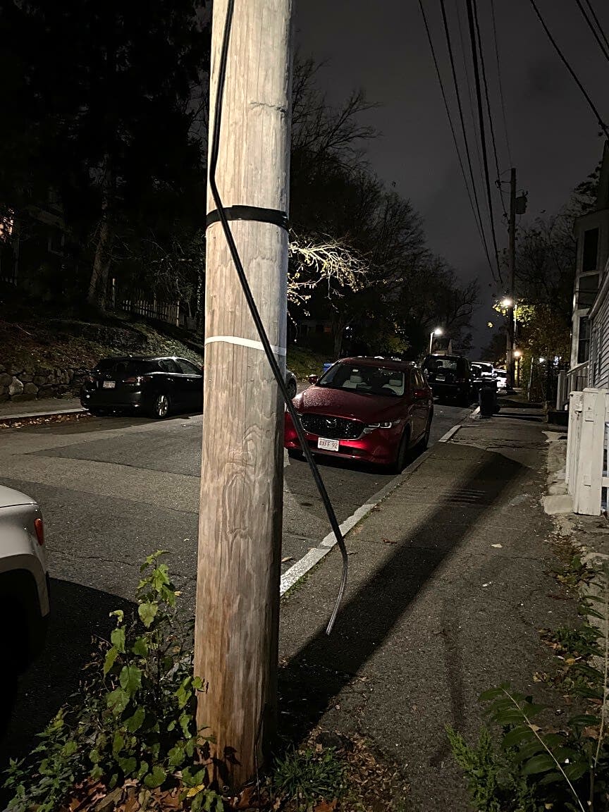 Image submitted with report