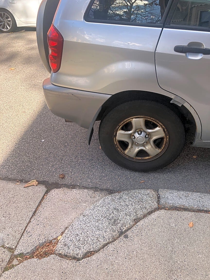 Image submitted with report