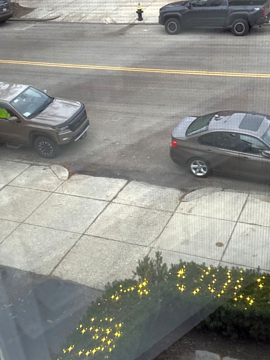 Image submitted with report