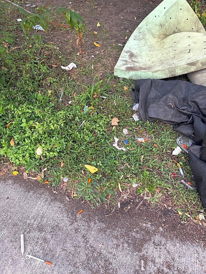 Image submitted with report