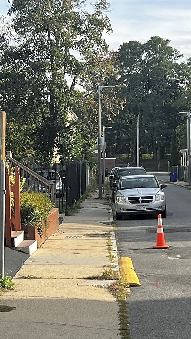 Image submitted with report