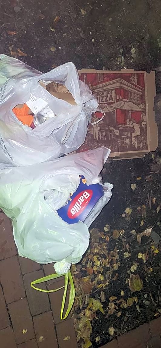 Image submitted with report