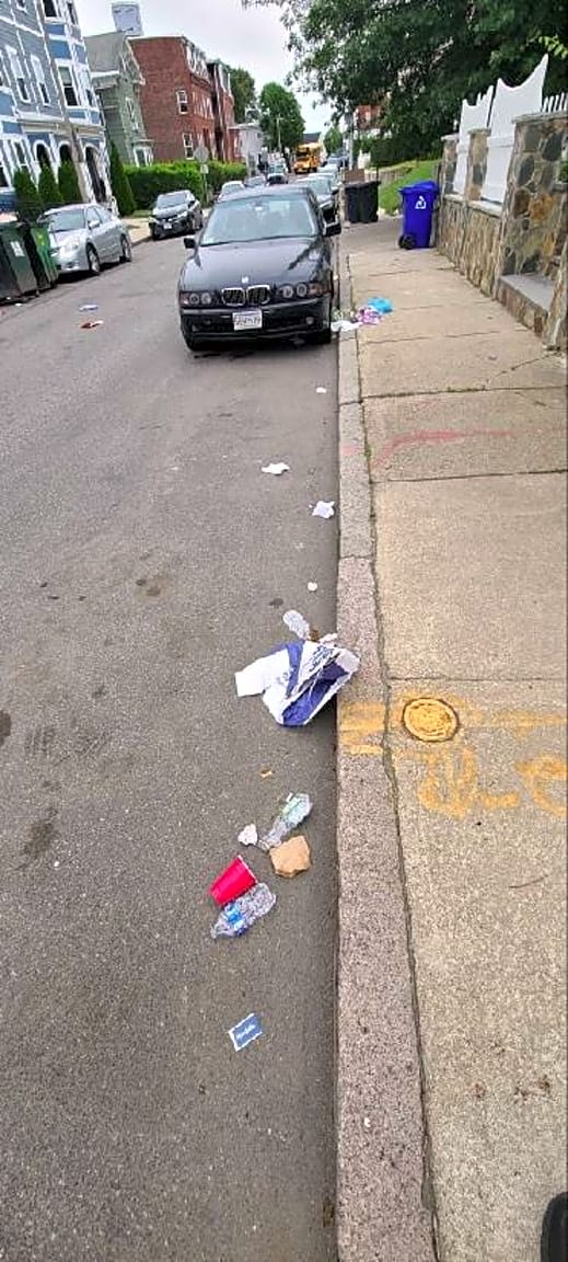 Image submitted with report