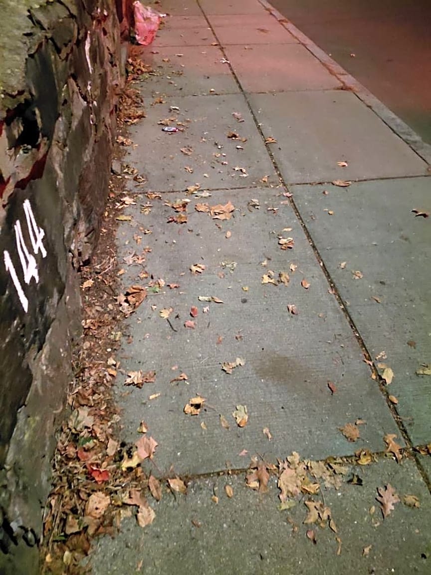 Image submitted with report