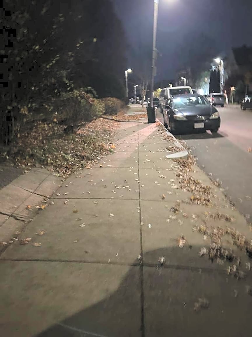 Image submitted with report