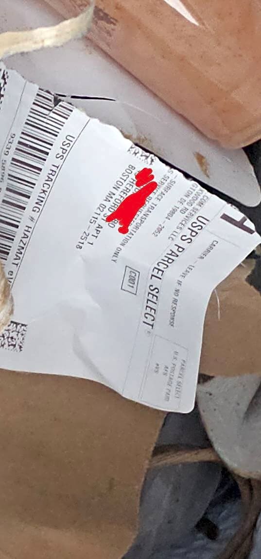 Image submitted with report