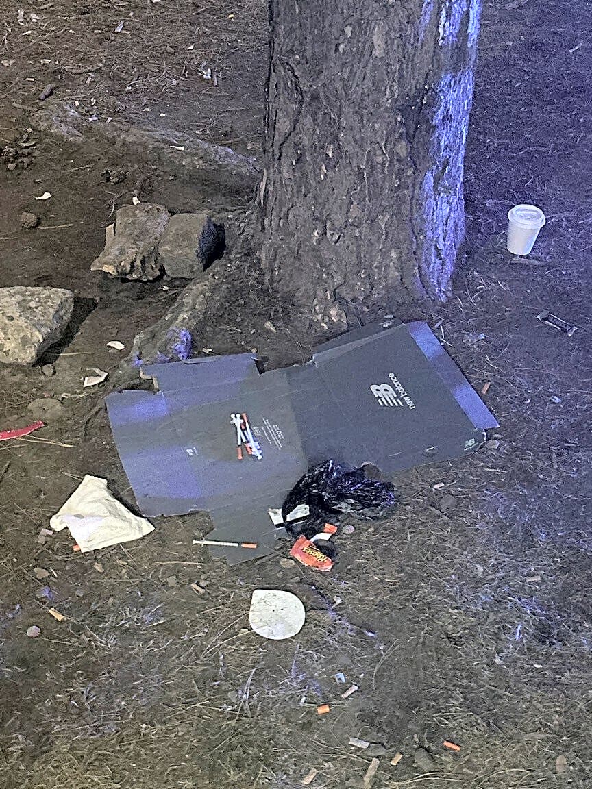 Image submitted with report