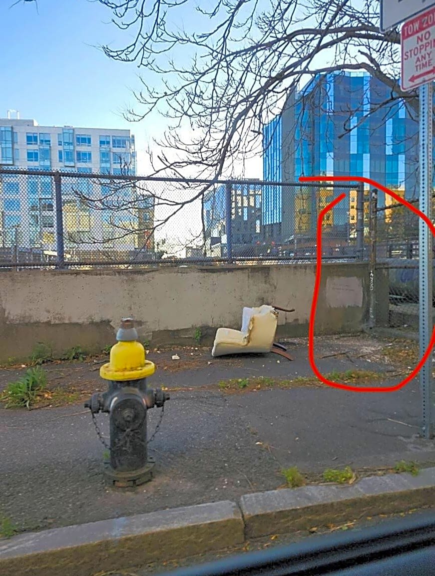 Image submitted with report