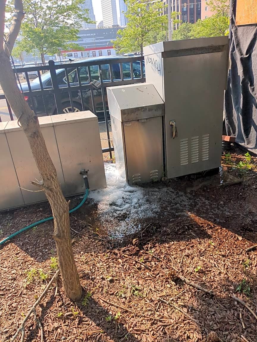 Image submitted with report