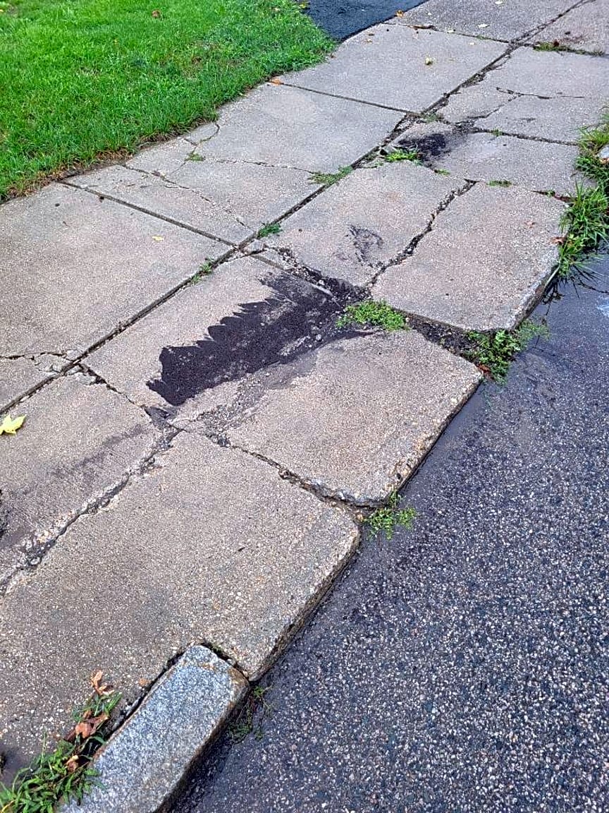 Image submitted with report