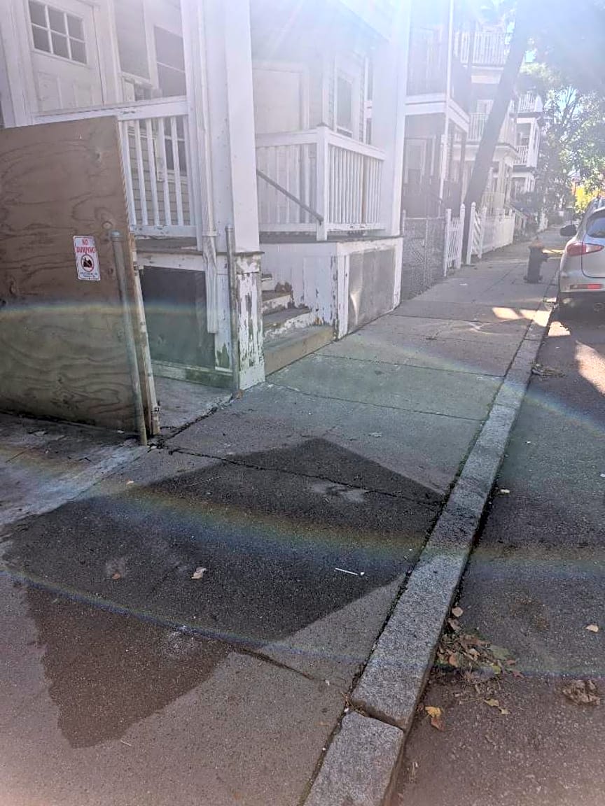 Image submitted with report