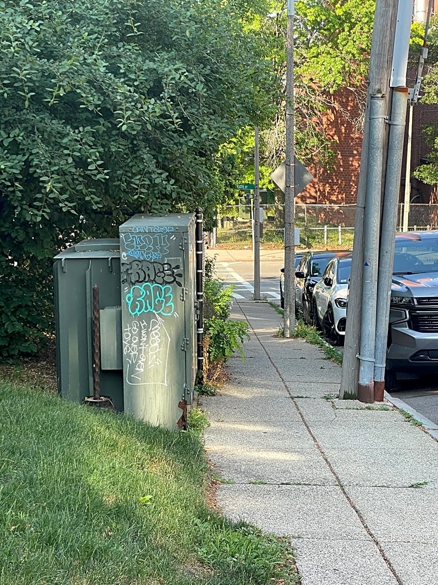 Image submitted with report