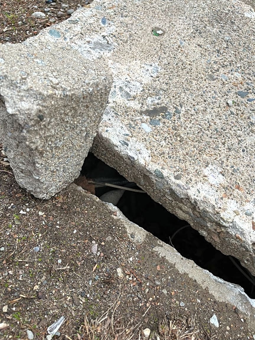 Image submitted with report