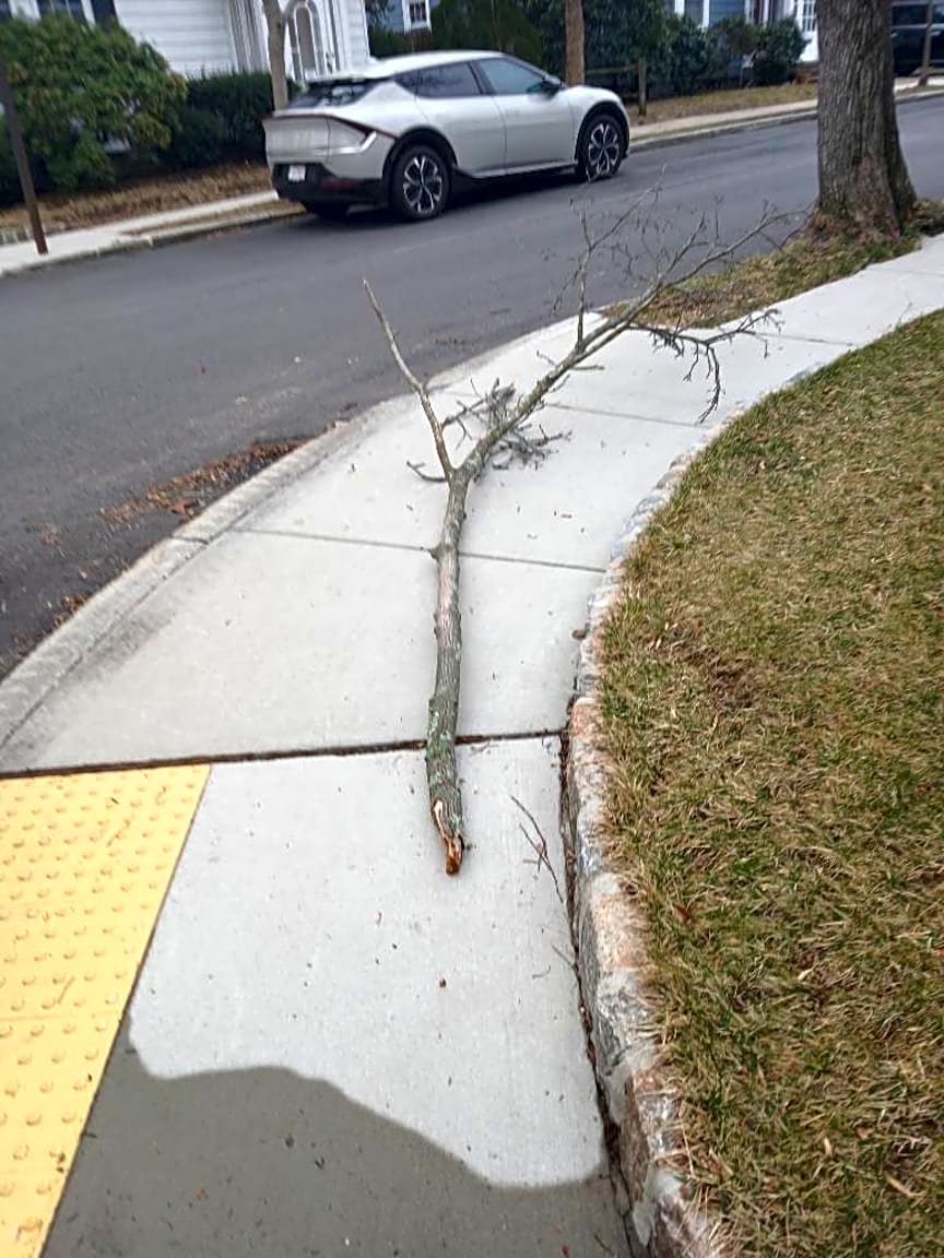 Image submitted with report