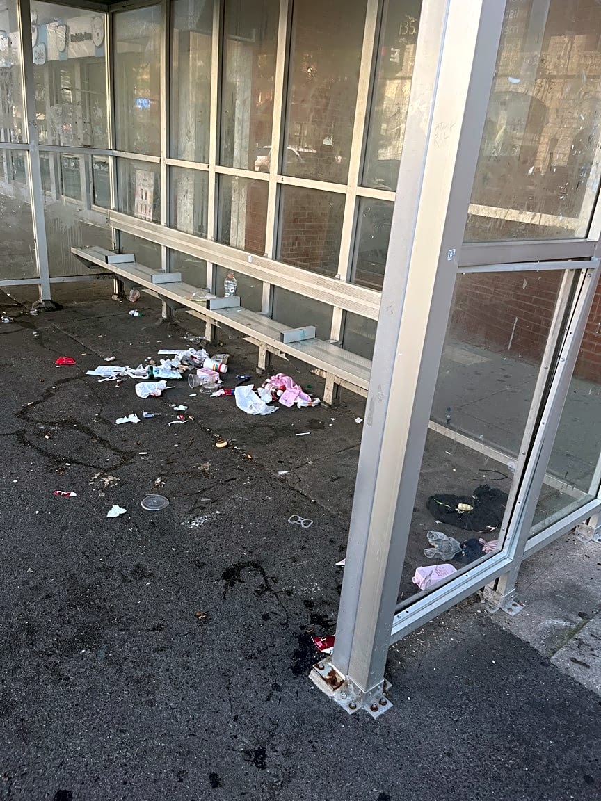 Image submitted with report