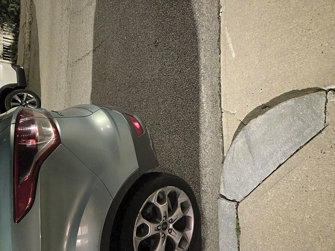 Image submitted with report