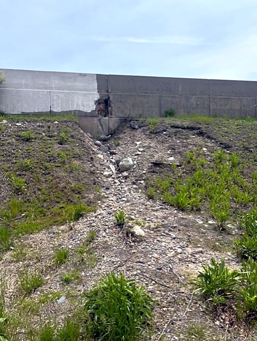 Image submitted with report