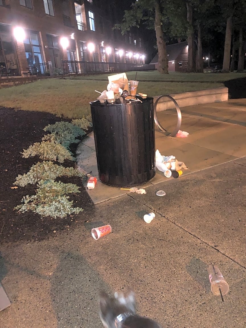 Image submitted with report