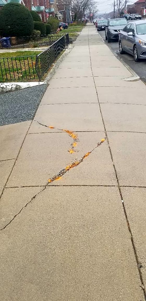 Image submitted with report