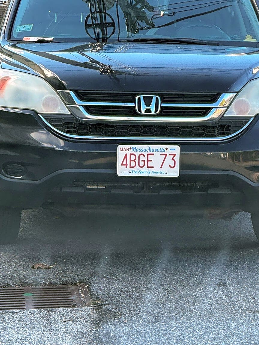 Image submitted with report