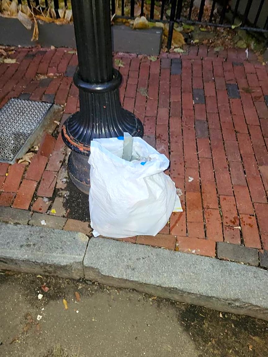 Image submitted with report