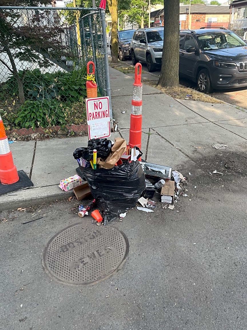 Image submitted with report