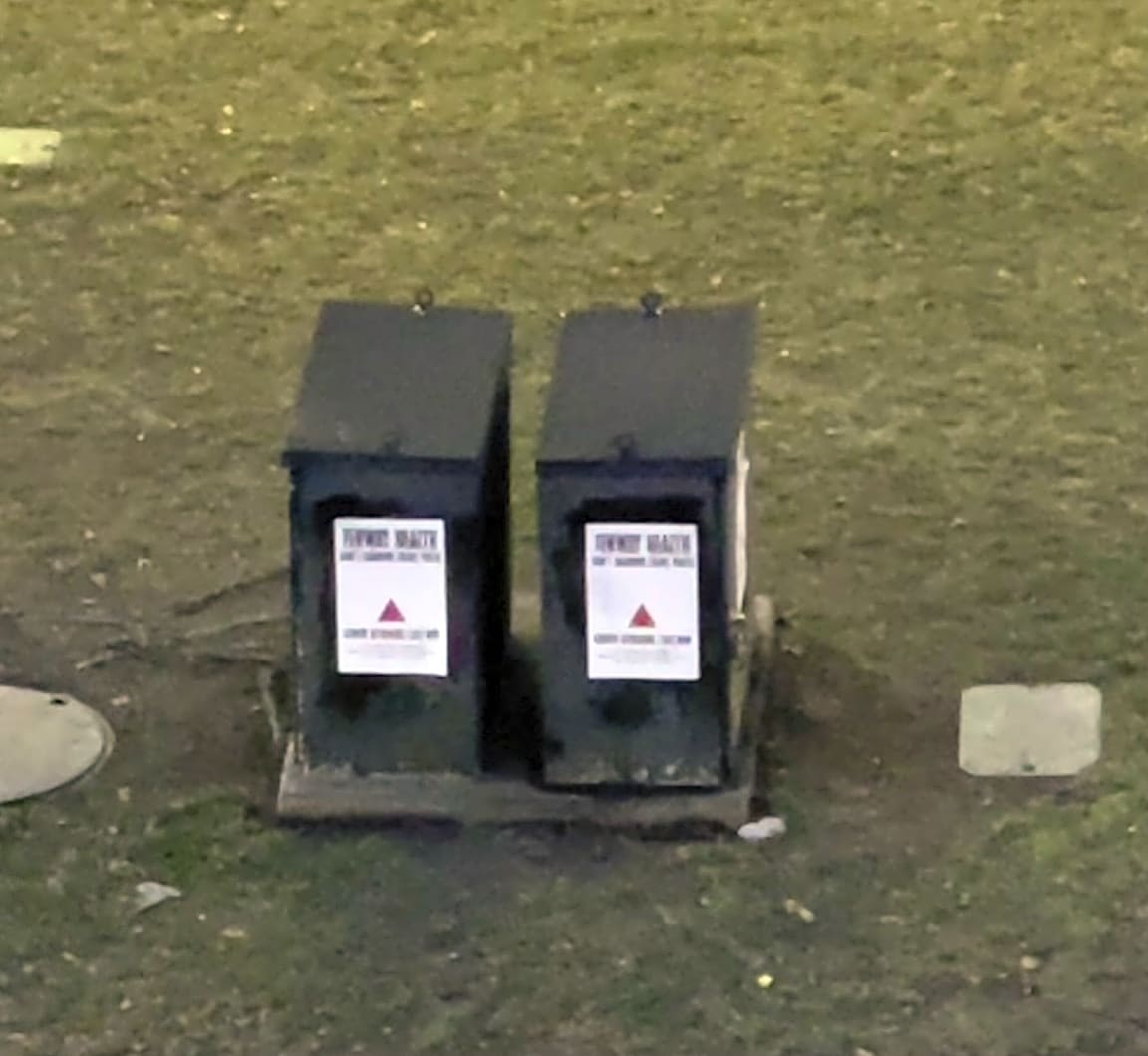 Image submitted with report