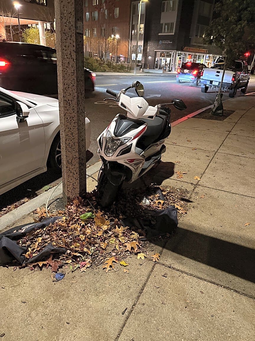 Image submitted with report