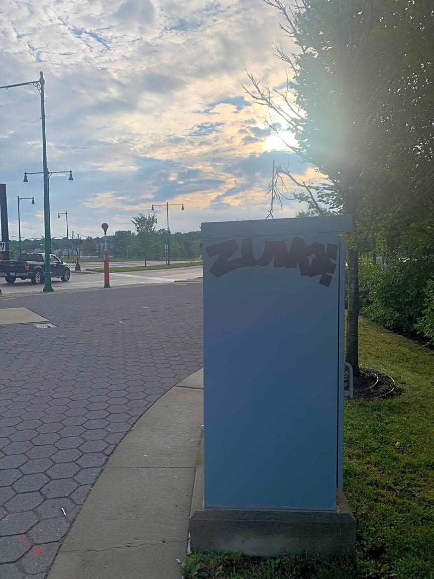 Image submitted with report