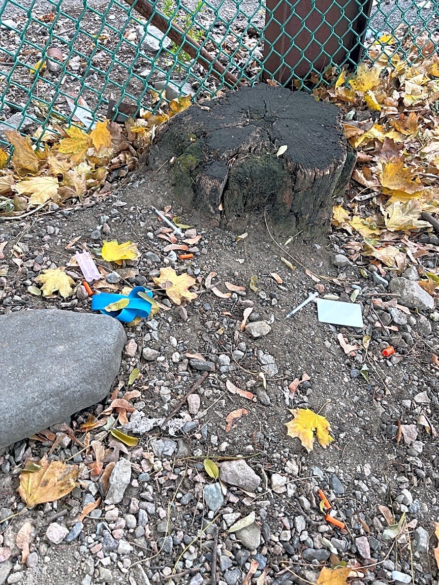 Image submitted with report