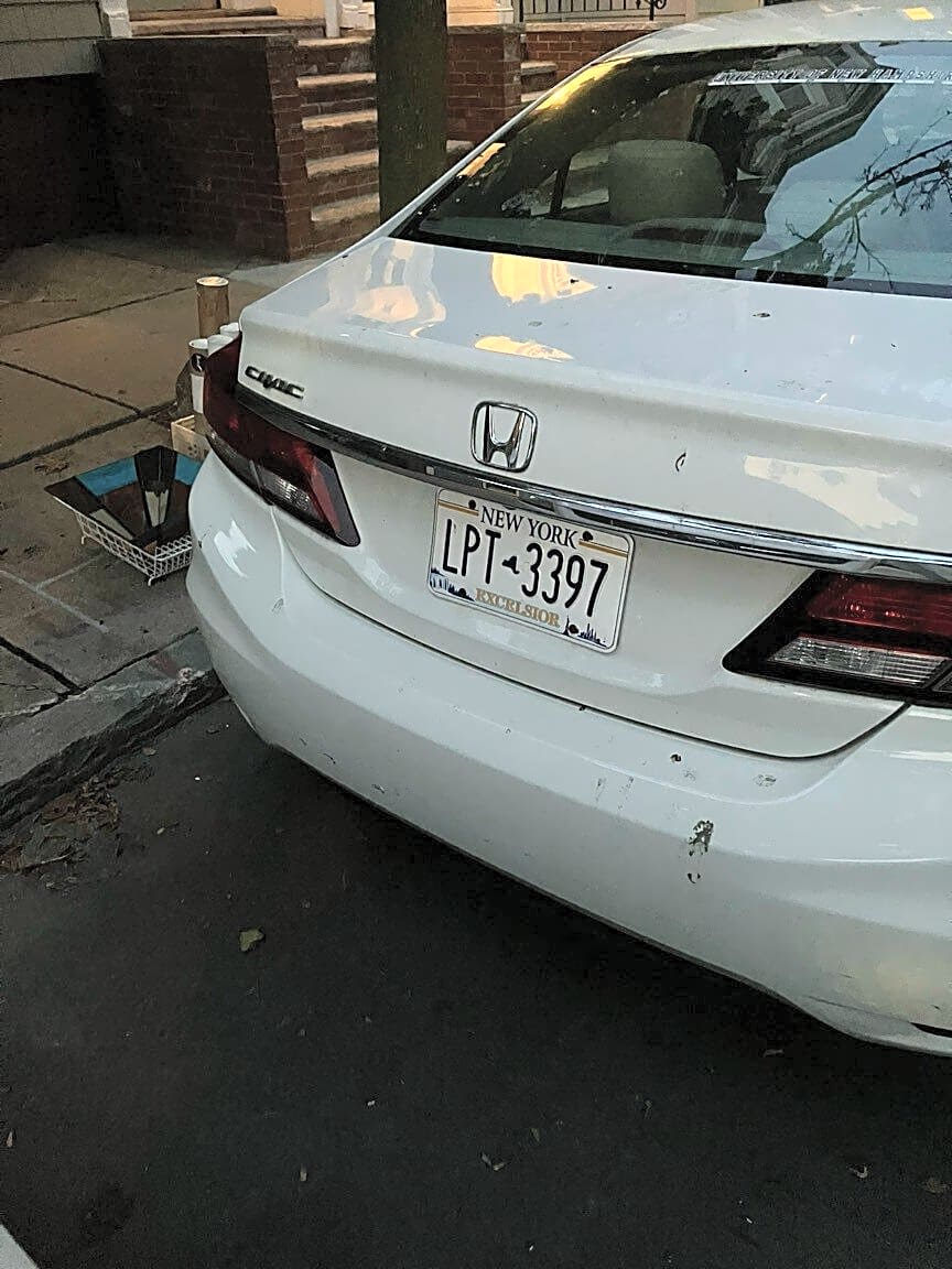 Image submitted with report