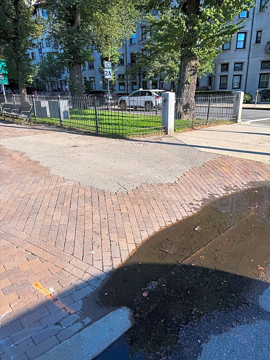 Image submitted with report