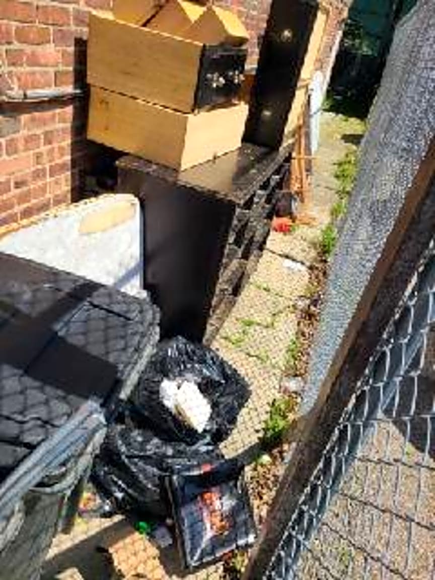 Image submitted with report